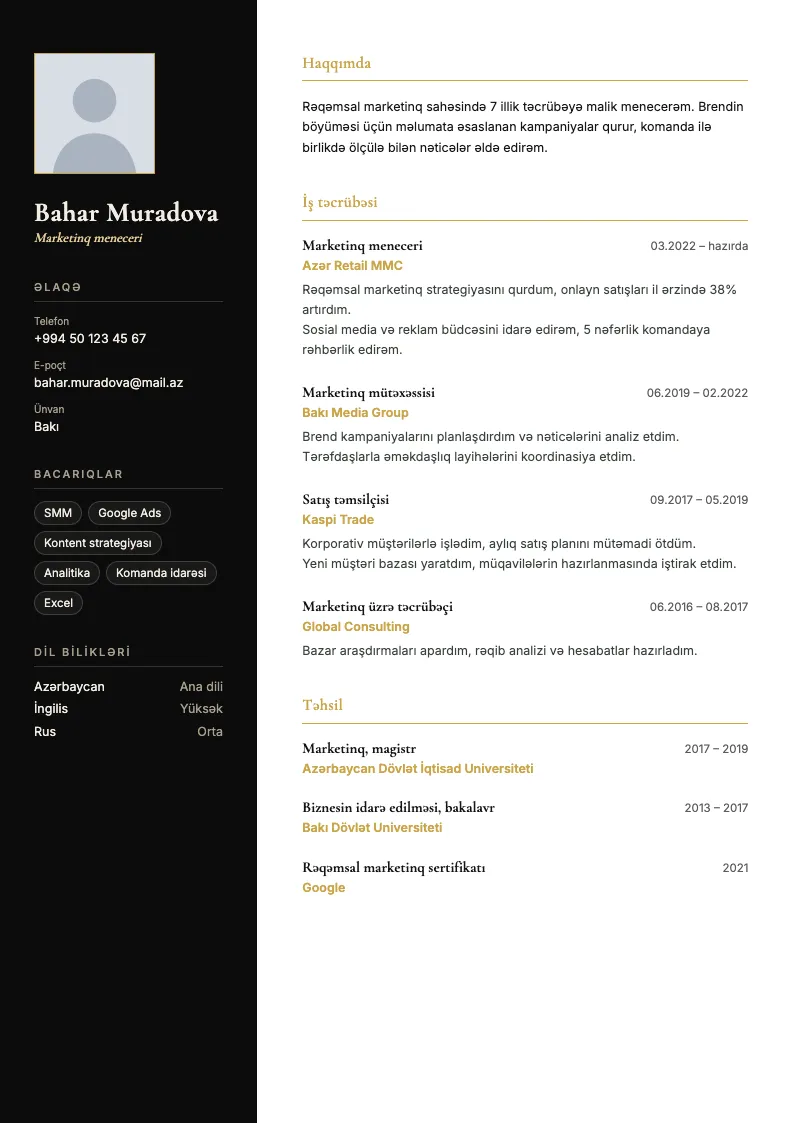 Eleqant CV şablonu — nümunə CV