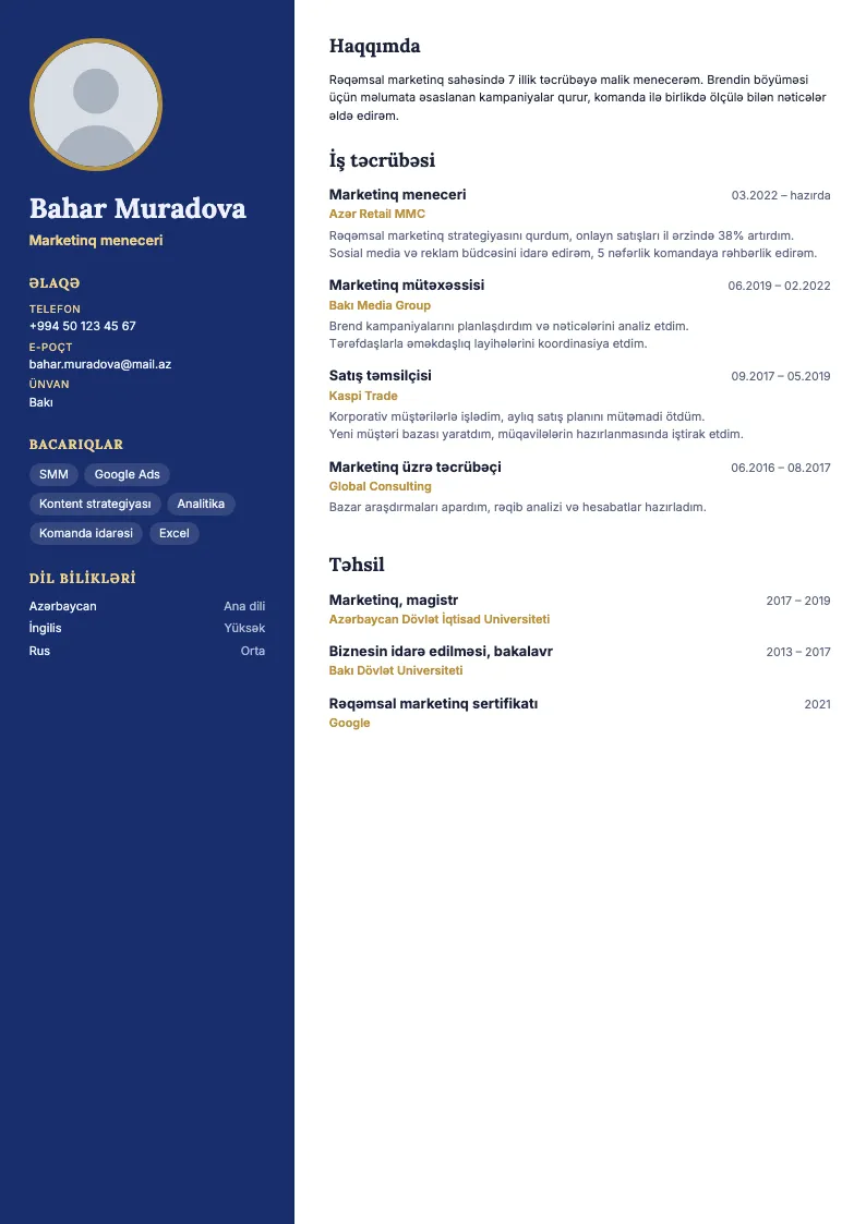 Layihə lövhəsi CV şablonu — nümunə CV