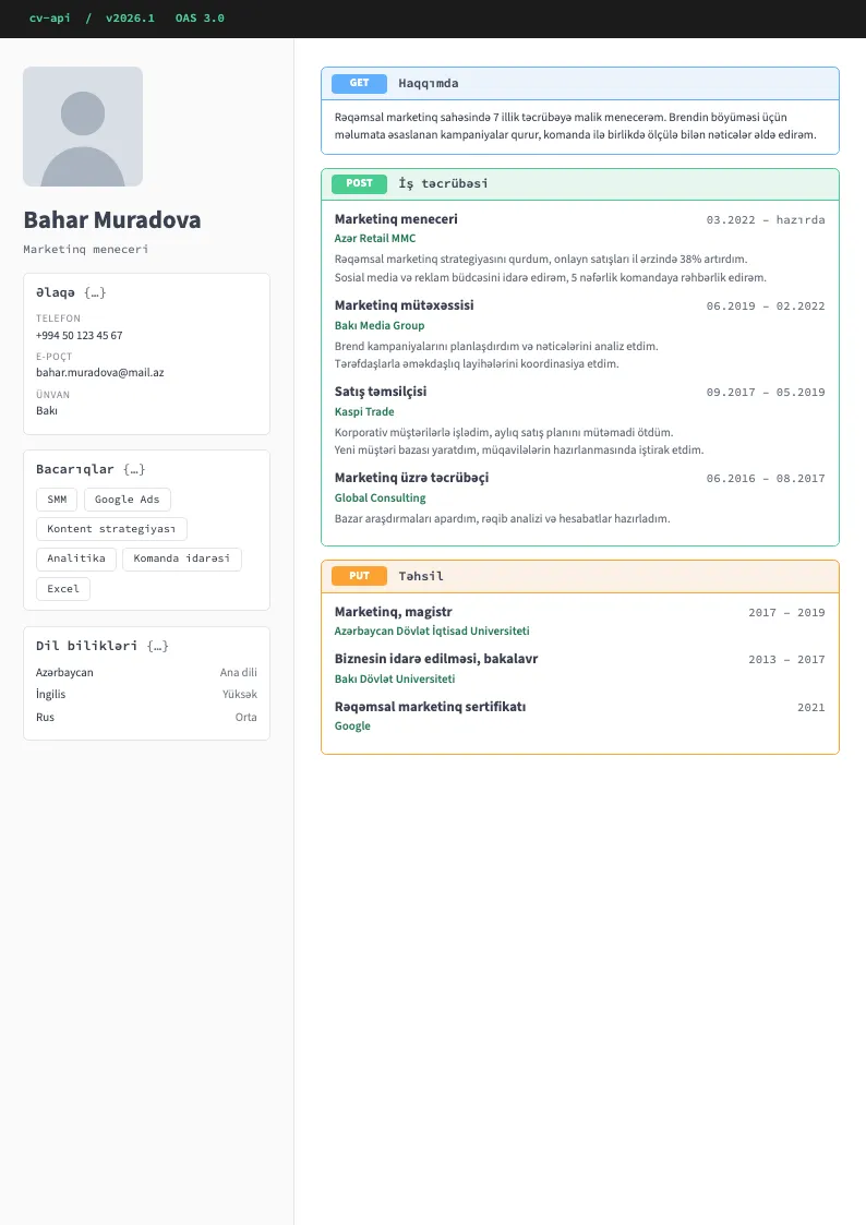 API sənədi CV şablonu — nümunə CV
