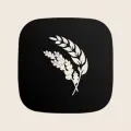 Projects Of Azerbaijan logo