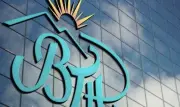 Transmilli Holding logo