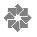 PASHA Real Estate logo