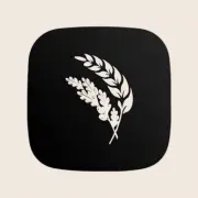 Projects Of Azerbaijan logo