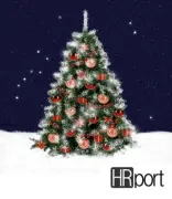 HR-Port logo