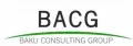 Baku Consulting Group 2011 LLC logo