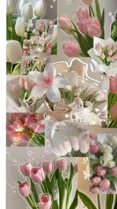 Nərmin Qədirova