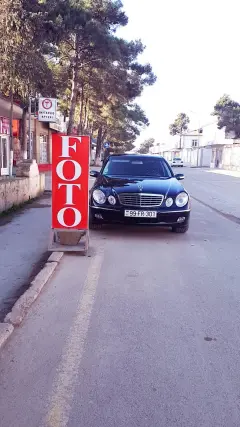 Fərid Əlibəyli