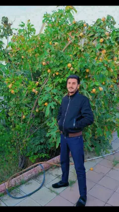Orkhan Akhayeff