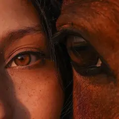 Məxfurə Mecidli