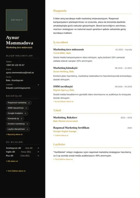 Elegant CV şablonu önizləməsi