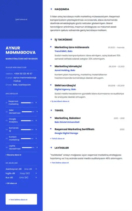 Vivid CV şablonu önizləməsi