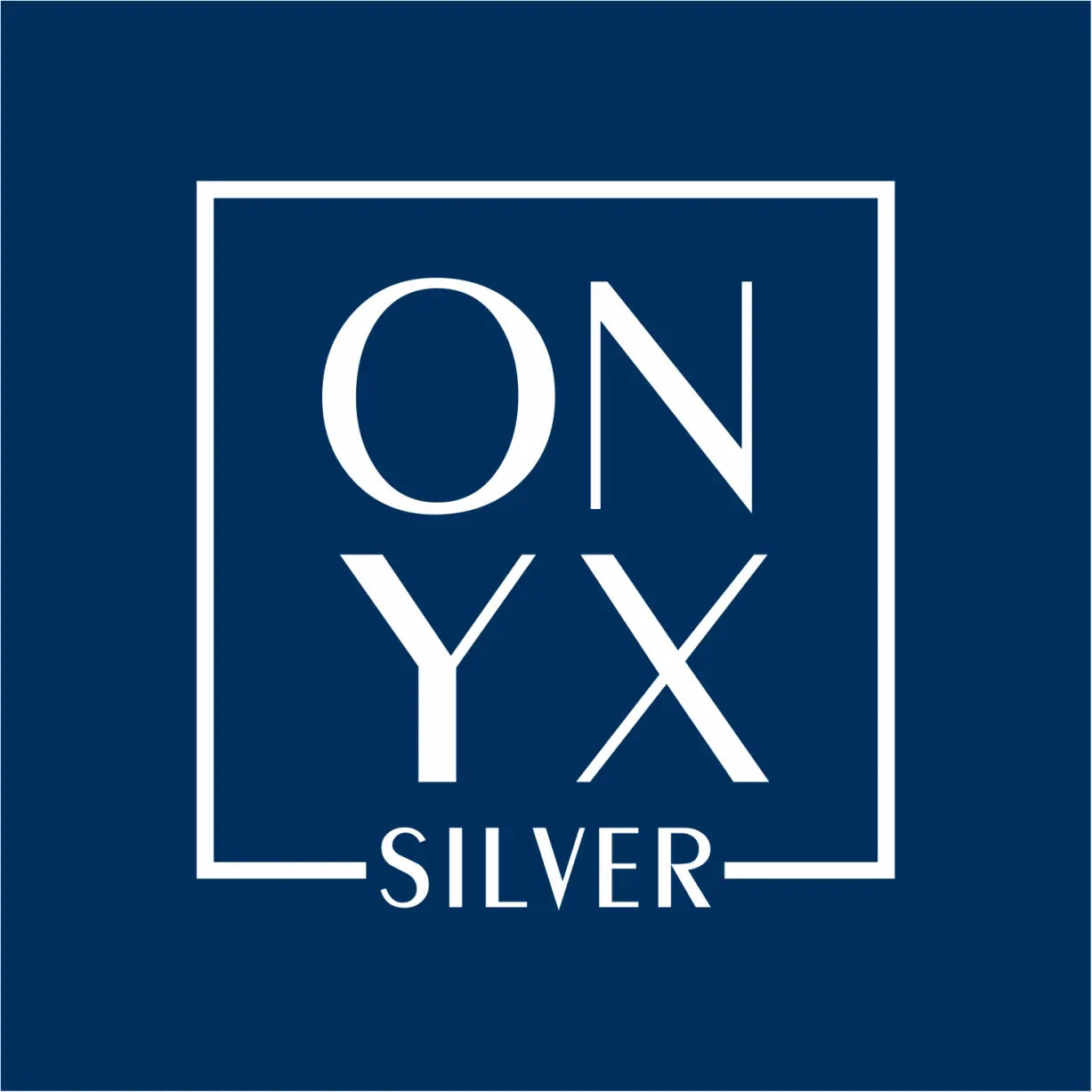 ONYX Silver cover